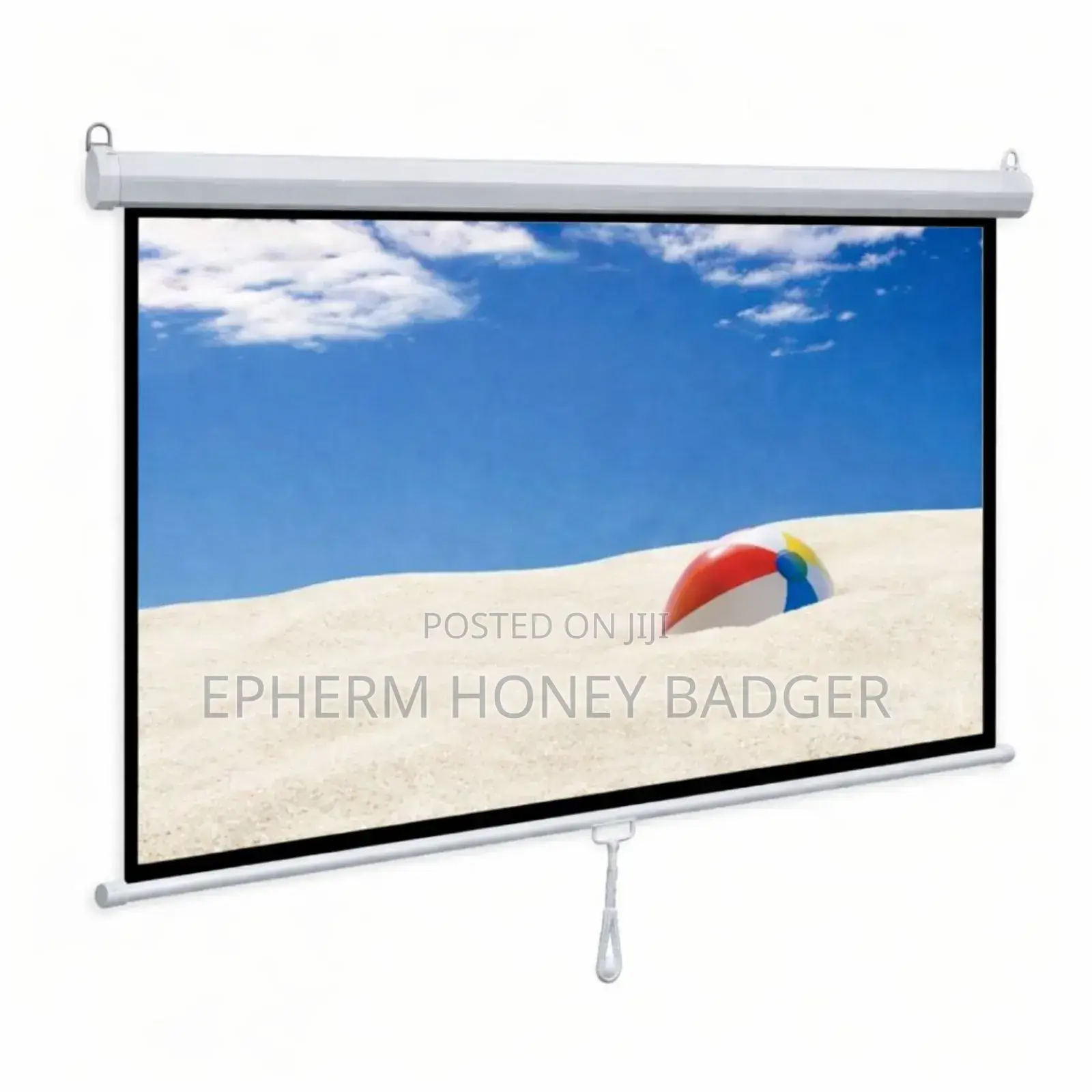 Projector Screen Electric Projector Screen