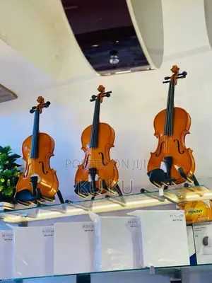 Violin Size 4/4