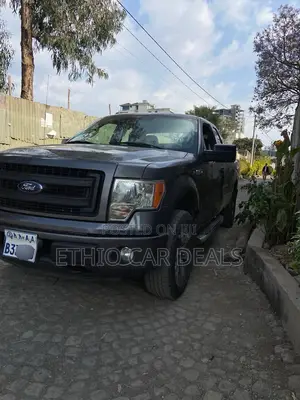 Ford F-150 2014 Gray