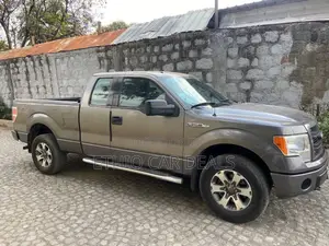 Ford F-150 2014 Gray