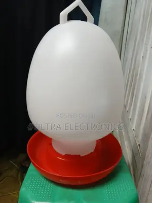 የዶሮ ውሀ መጠጫ Chicken Drinker, Often a Poultry Water Fountain, Designed