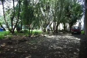 Land - መሬት