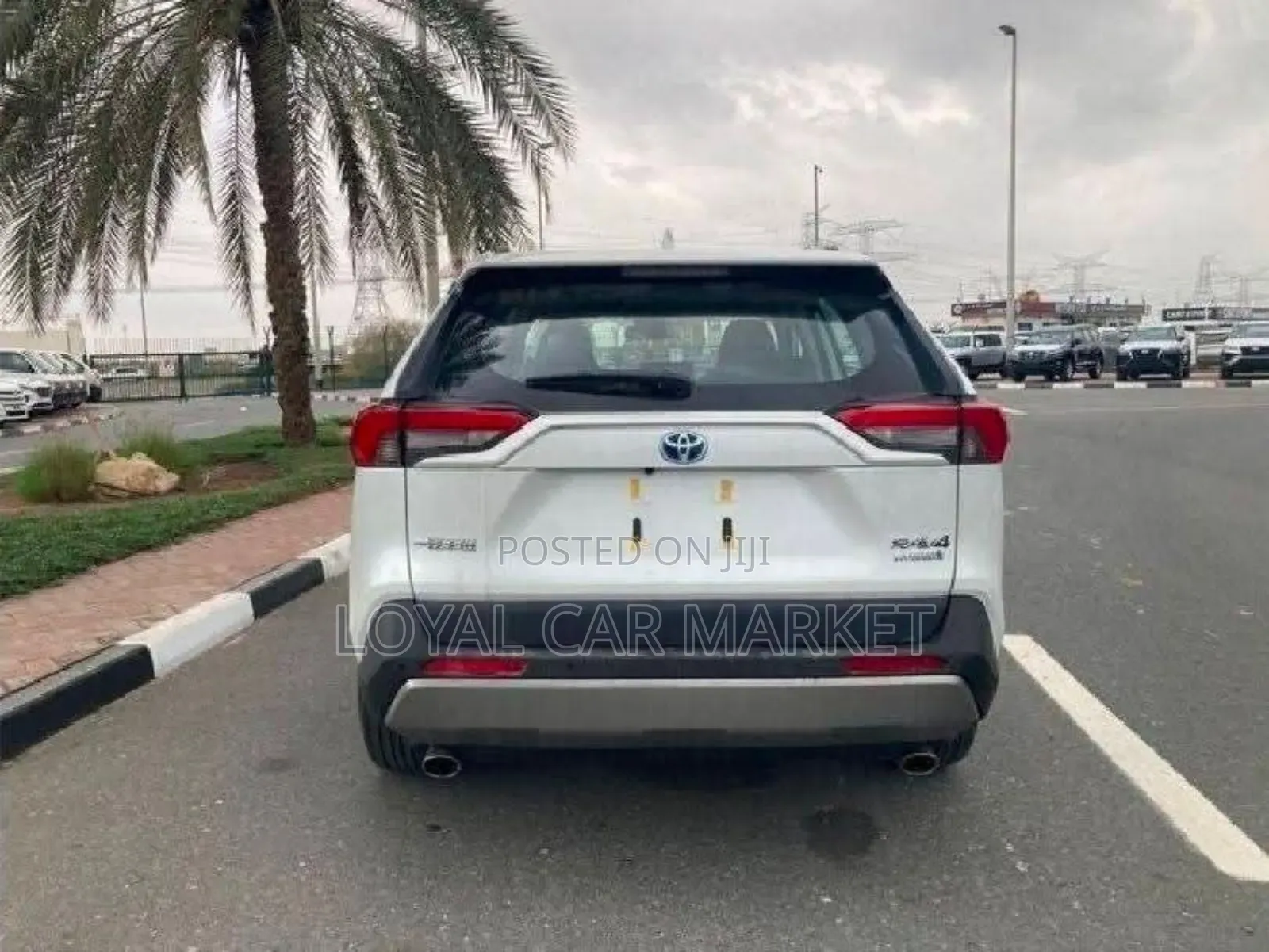 New Toyota RAV4 Hybrid 2024 White
