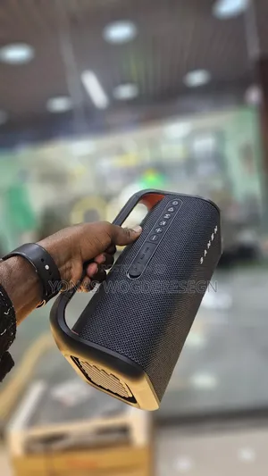 Sanen Original Speaker