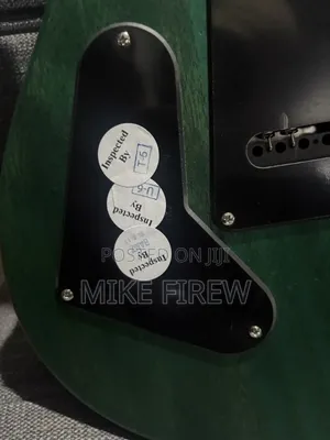 PRS Se Guitar!