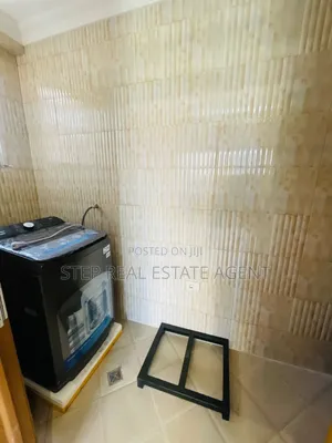 Furnished 3bdrm Apartment in Bole for rent