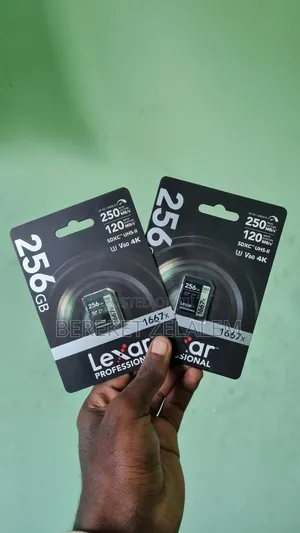 Lexar 256 Gb V60 Camera Memory