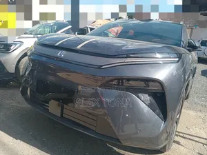 New BYD Tang EV 2025 Gray
