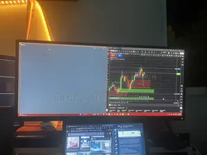 Monitor Dell