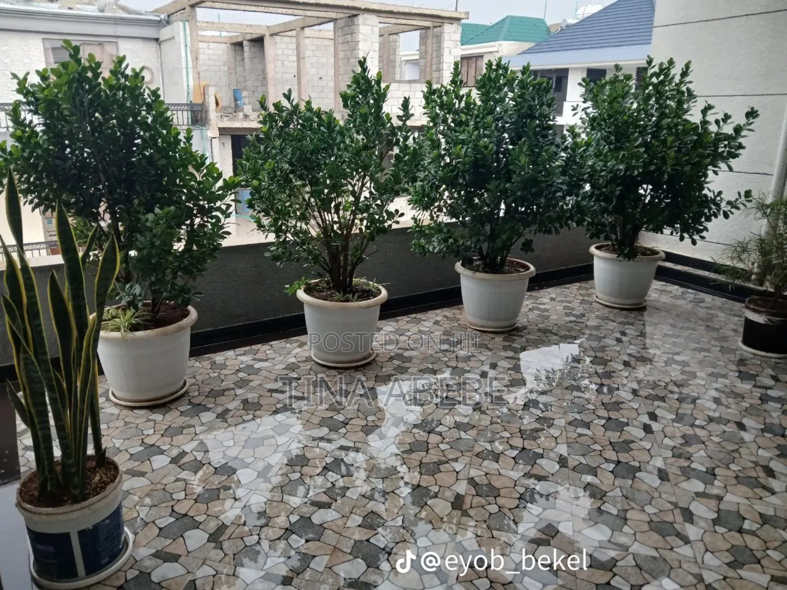 6bdrm House in Akaky Kaliti for sale