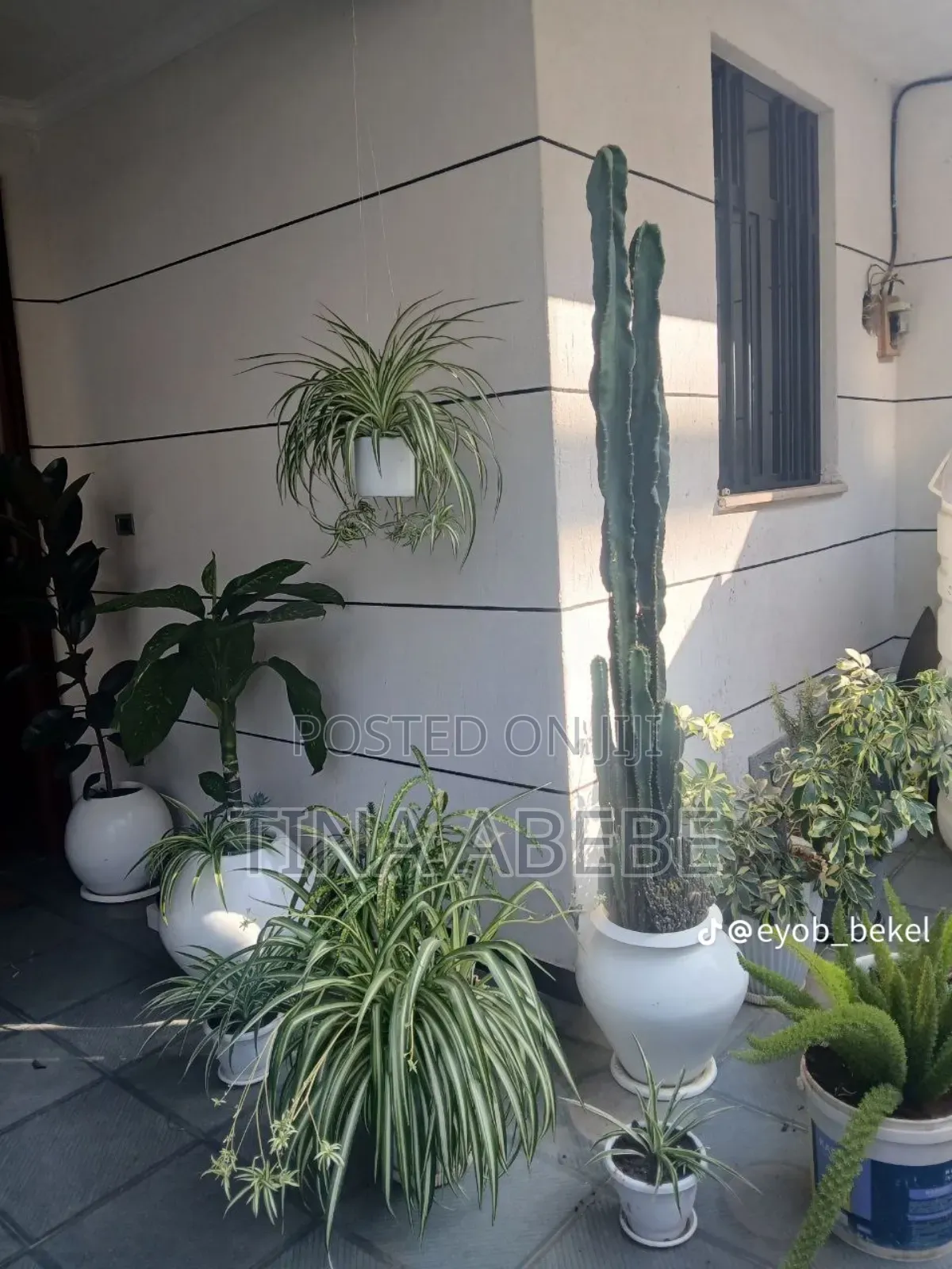 6bdrm House in Akaky Kaliti for sale