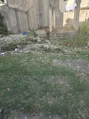 አስቸካይ የሚሸጥ መሰረት