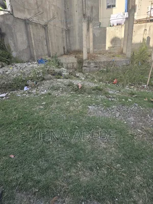 አስቸካይ የሚሸጥ መሰረት