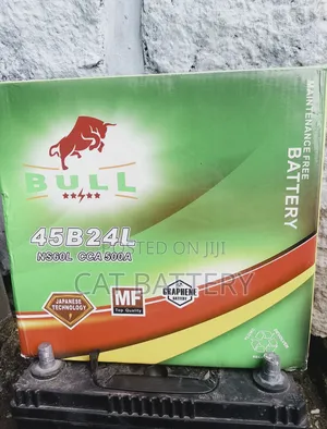 Bull 70ah Car Battery