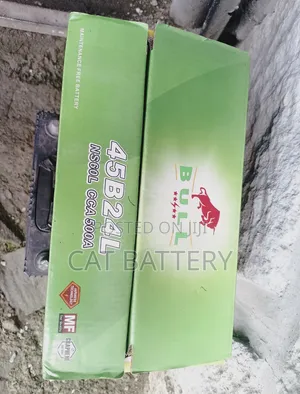Bull 70ah Car Battery