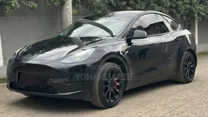 Tesla Model Y 2024 Matt Black
