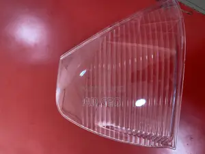 Dolphin Parking Lens