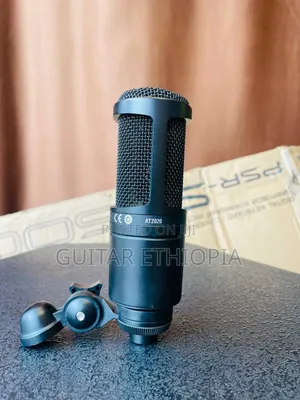 Audio Techinca At2020