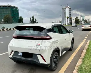 BYD Seagull 2024 White
