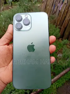 Apple iPhone 13 Pro Max 128 GB Green