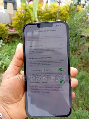 Apple iPhone 13 Pro Max 128 GB Green