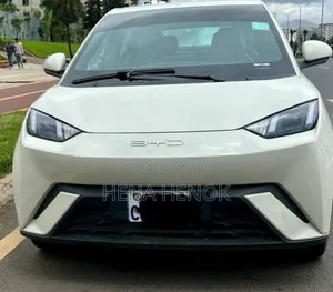 BYD Seagull 2024 White