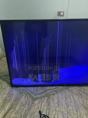 Lg 55 Inch
