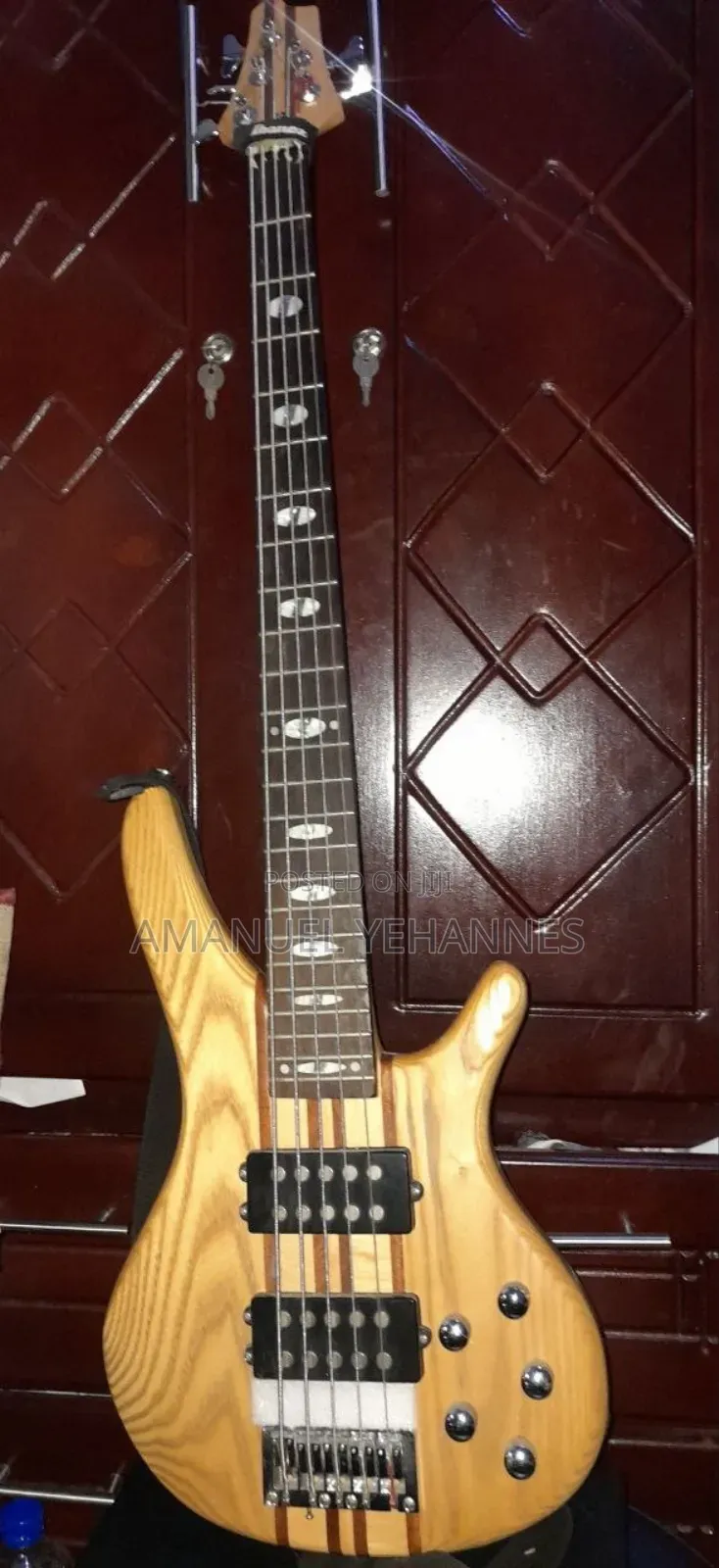 Bullfighter 5-String Electric Bass Guitar