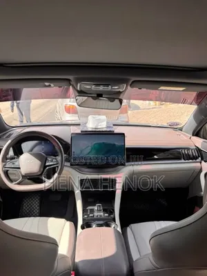 BYD Song Plus 2025 Gray