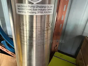 Leo Stainless Steel Submersible Borehole Water Pump