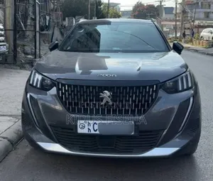 Peugeot 2008 2021 Silver
