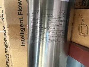Leo 4xr/1845 Submersible Borehole Pump