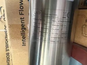 Leo 4xr/1845 Submersible Borehole Pump