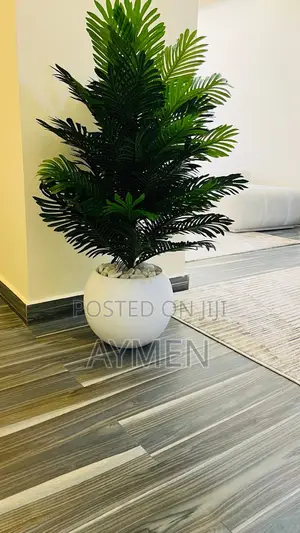 Flower Pots