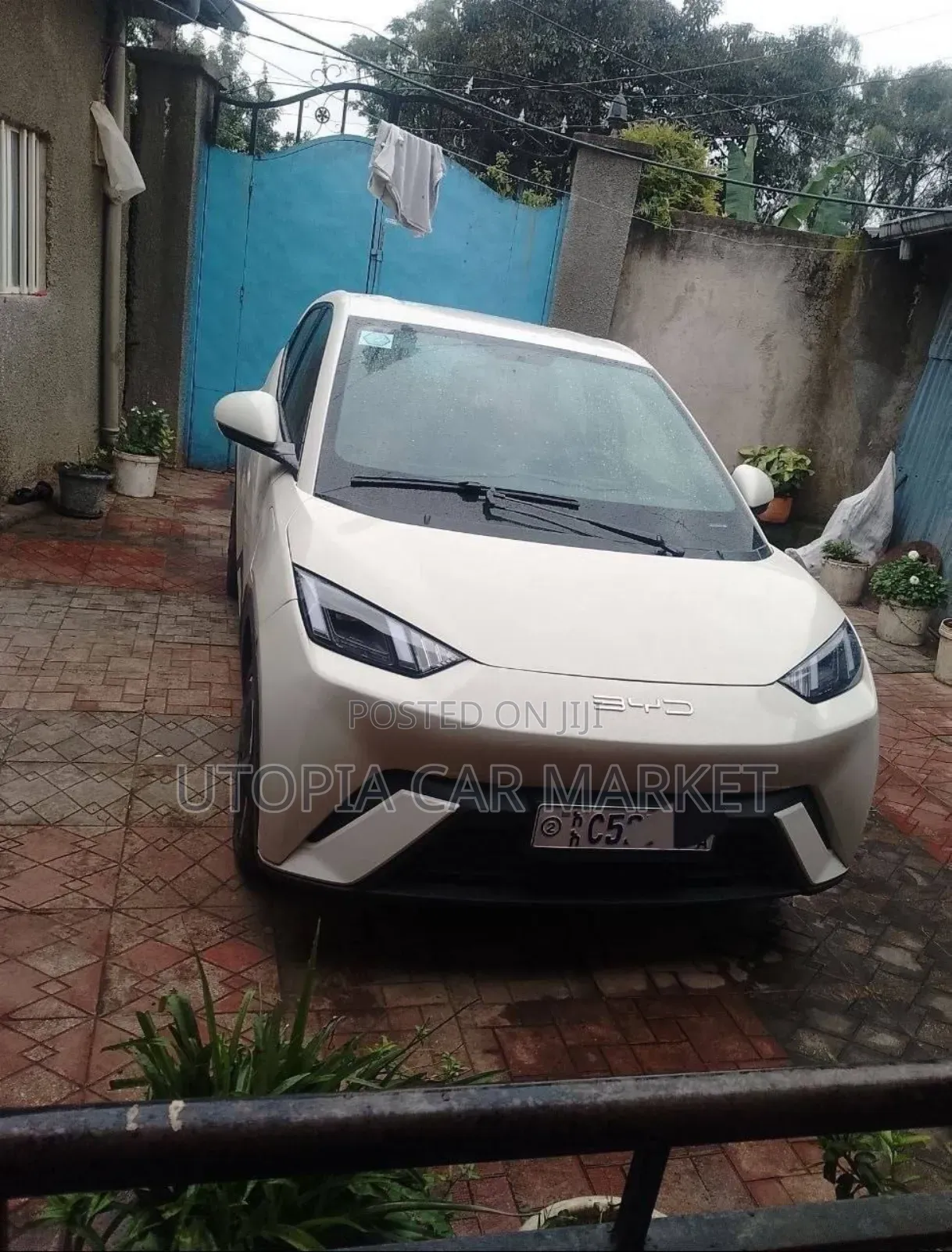 BYD Seagull 2024 White