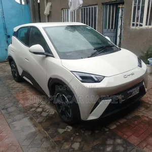 BYD Seagull 2024 White