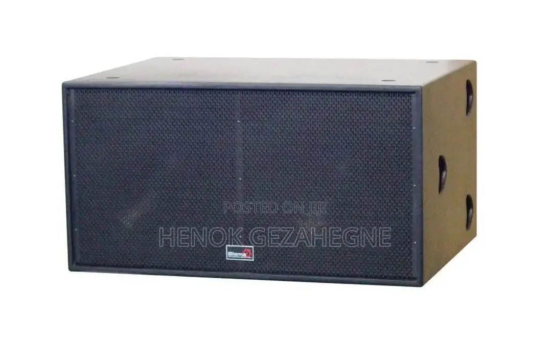 Original Full Range Biema Speaker