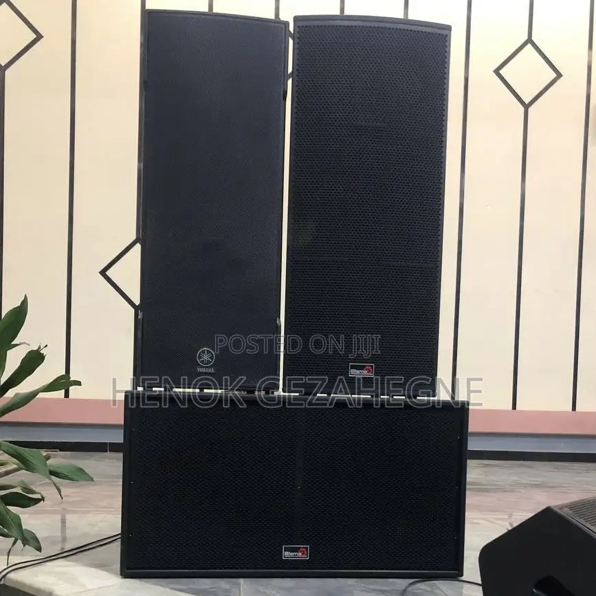 Original Full Range Biema Speaker