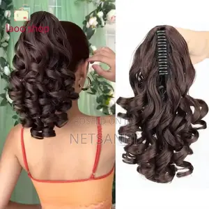 Ponytail Clip-In
