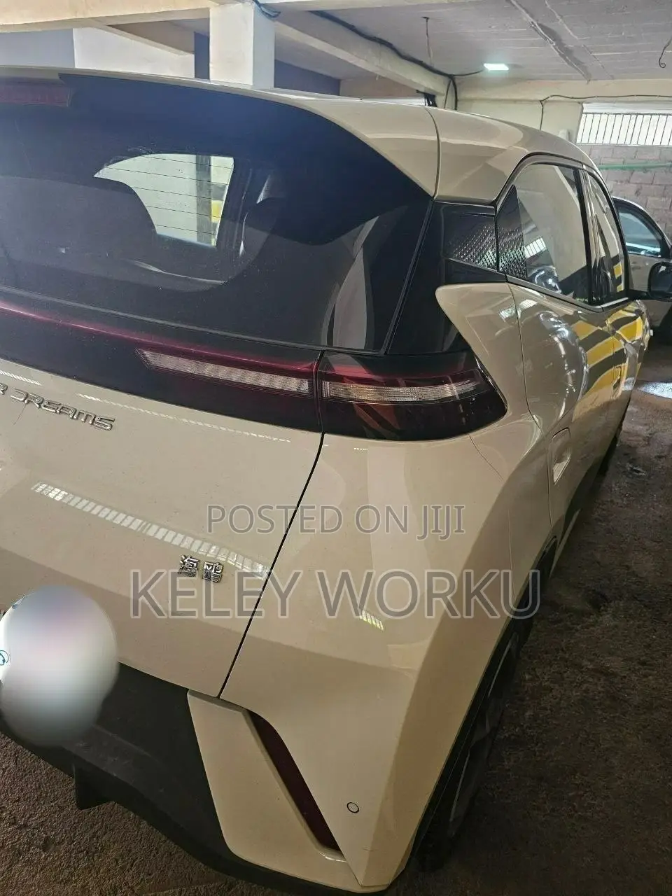 BYD Seagull 2024