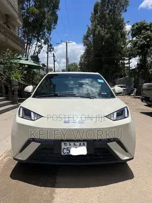 BYD Seagull 2024