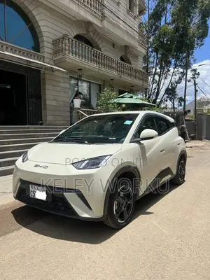 BYD Seagull 2024