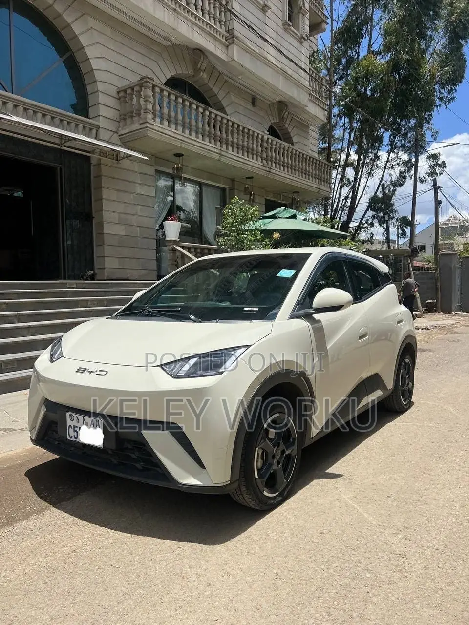 BYD Seagull 2024