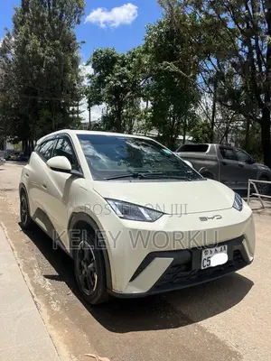 BYD Seagull 2024