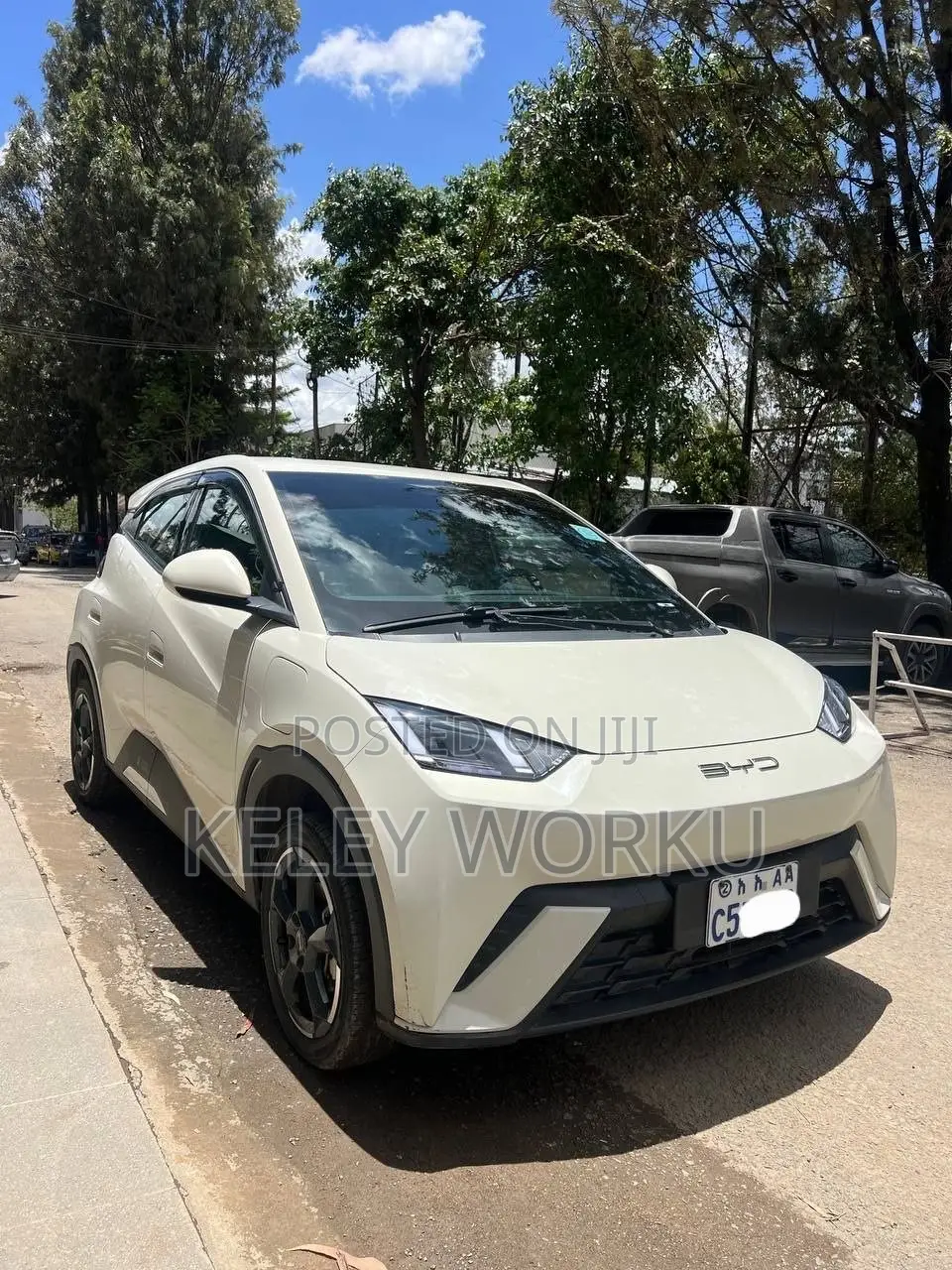 BYD Seagull 2024