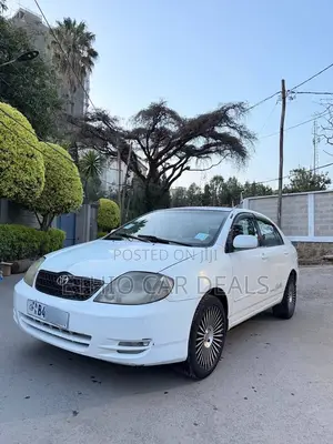 Toyota Corolla 2003 White