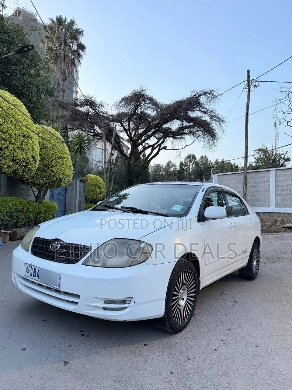 Toyota Corolla 2003 White