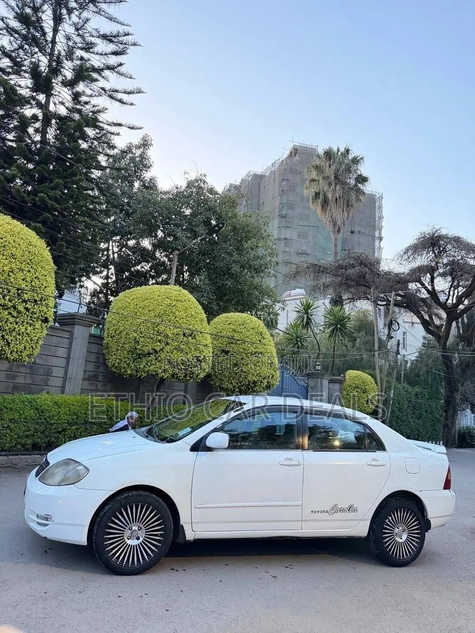 Toyota Corolla 2003 White