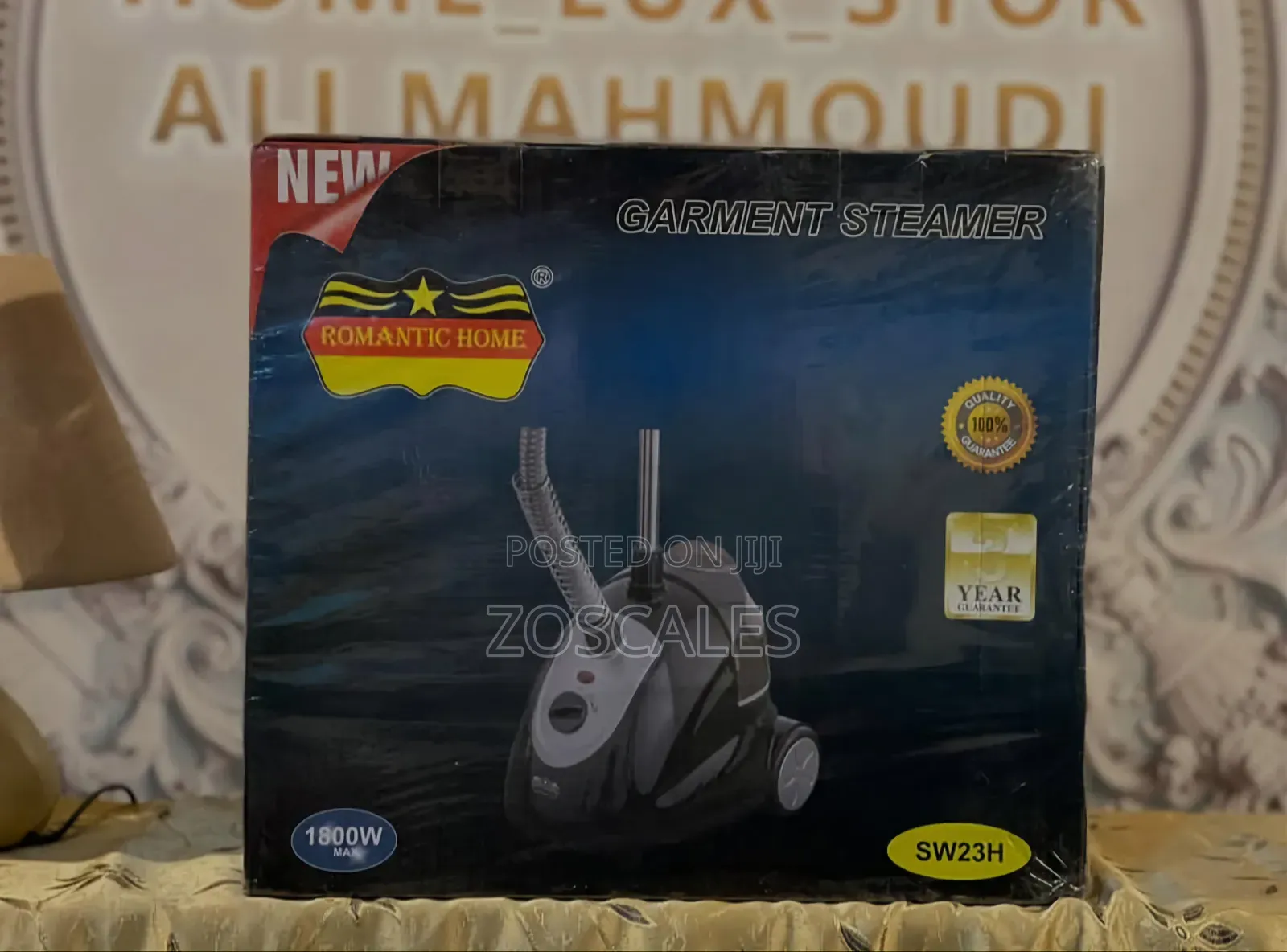 Garment Steamer
