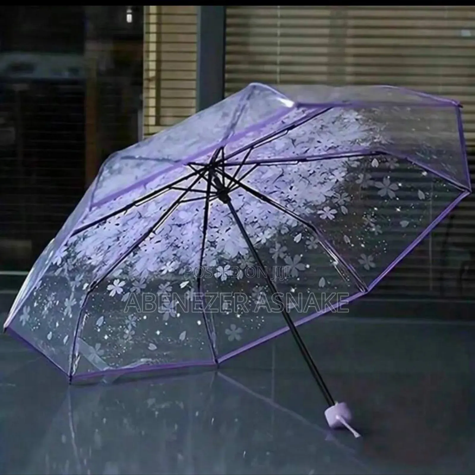Transparent Umbrella for the Rain